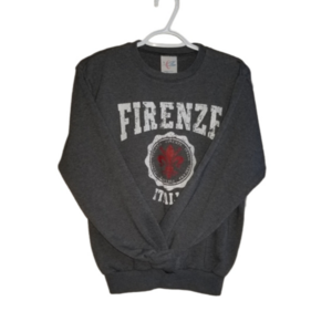 Firenze Italia Grey Crew Neck Sweater Label Reads Size Medium Made In Italy